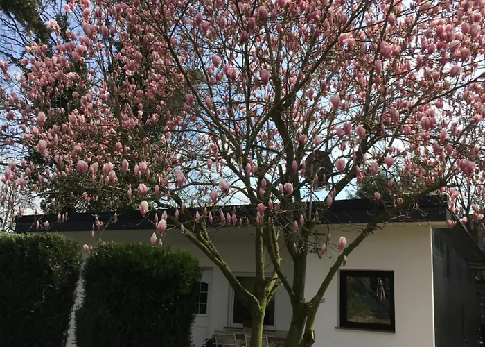 Private Boardinghouse Meerbusch&Terrasse, Parkplatz nahe Messe